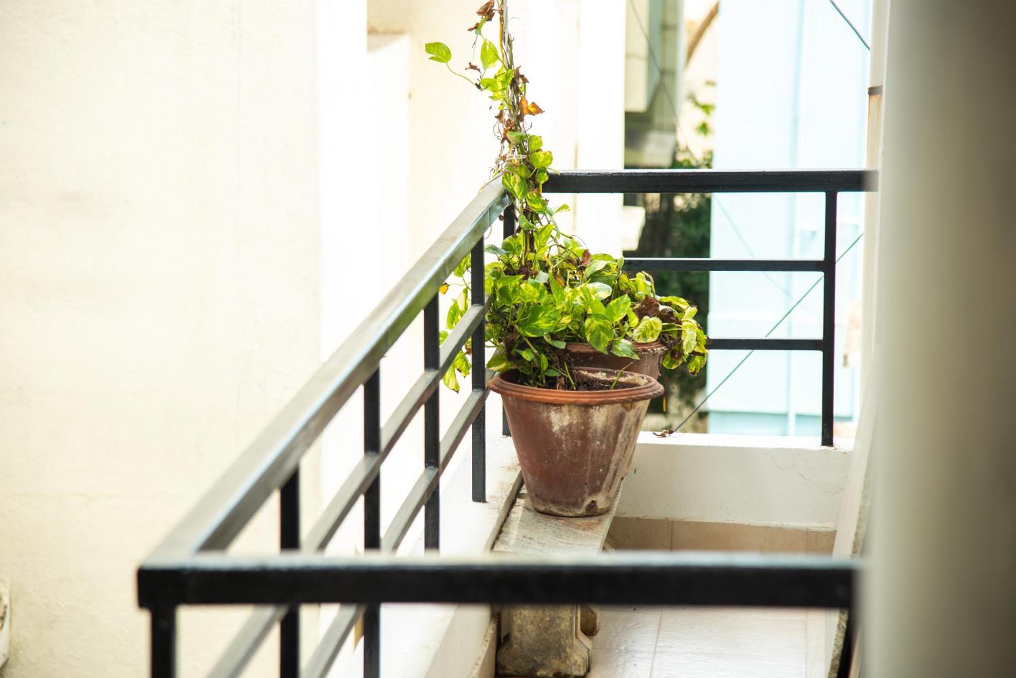 Mama Rose Homestay In Madipakkam Chennai Exteriör bild